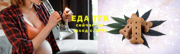 гидра Надым